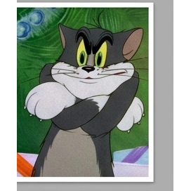 Tom Smug