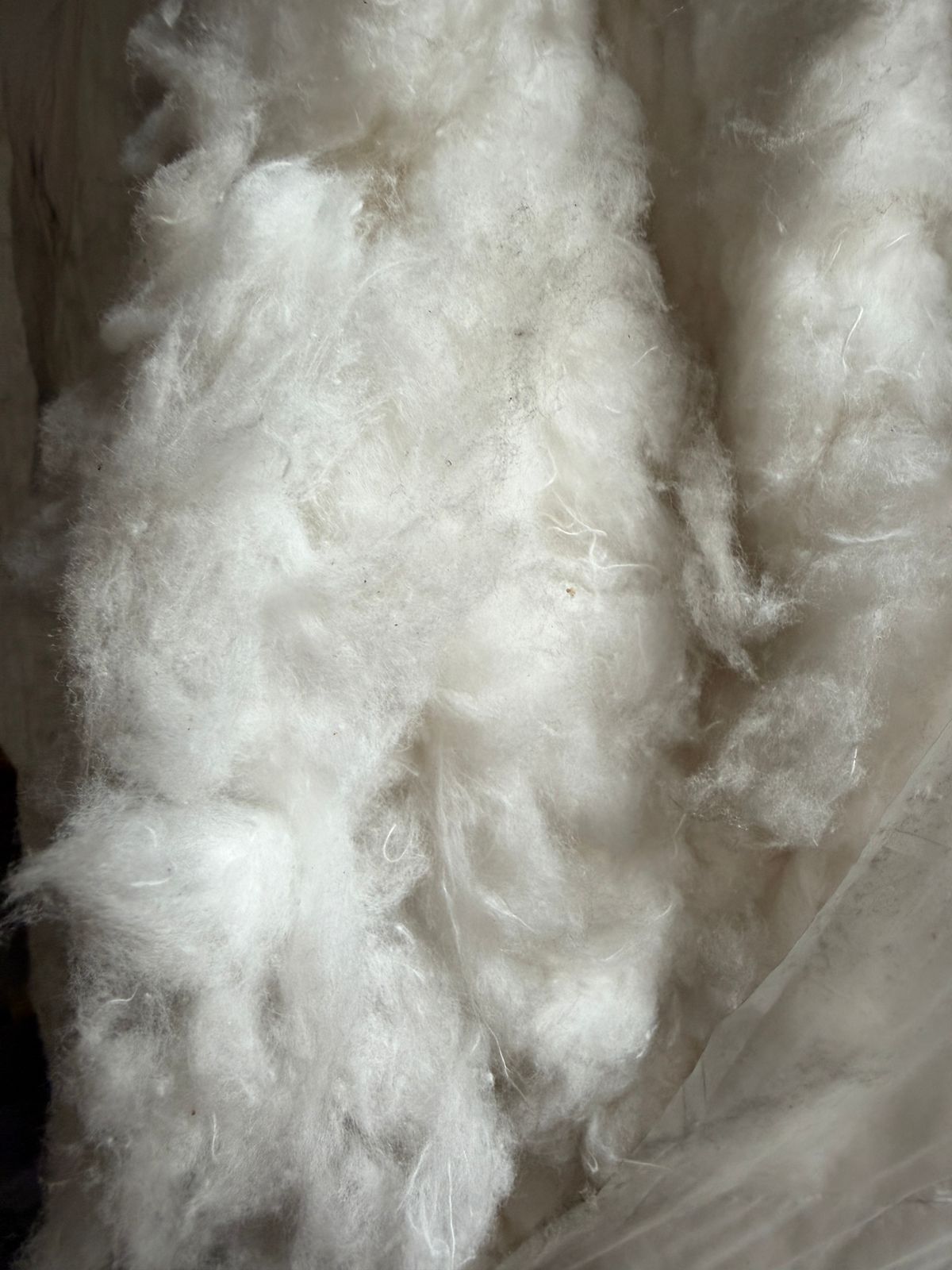 Fibra algodón recuperado blanco 