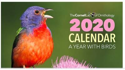 2020 Cornell Lab Calendar