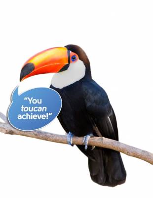 Free ZooZingo Animal Cards- Teachers