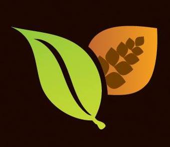 Free sample of Herbal Papaya Tea