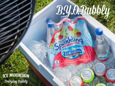 Coupon - Free Sparkling Ice Mountain Brand Natural Spring Water