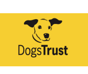 Dog Microchipped for Free with Dogs Trust