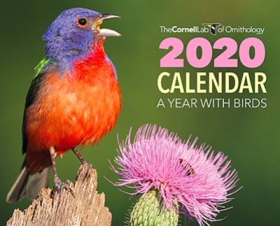 Free 2020 Cornell Lab Calendar