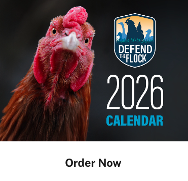 Free 2026 Calendar from Defend the Flock
