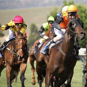 Free Ascot Horse Racing Day Tickets