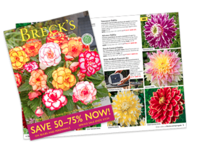 FREE Breck's catalog