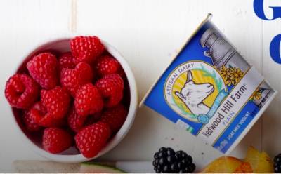 FREE coupon for a 6oz. cup of yogurt