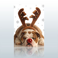 Free Digi Print Christmas Card Samples- Biz