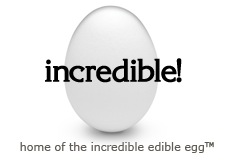 Free Egg Safety Material