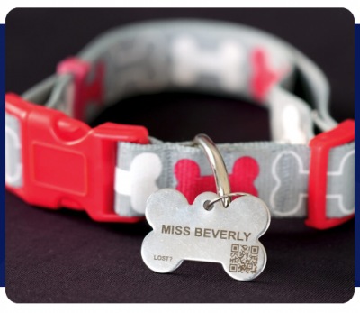 FREE Fido Pet ID Tag