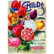 Free Flower Seeds