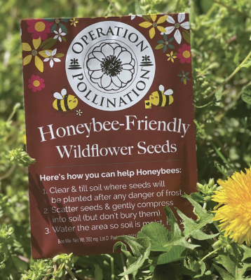 Free Honeybee-Friendly Wildflower Seed Packet