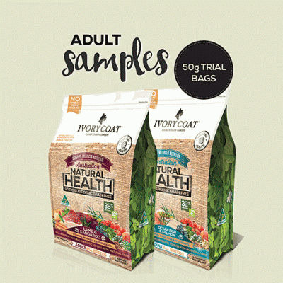 Free Ivory Coat Dog Food Free Samples