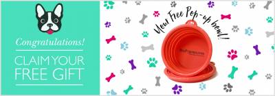 Free Pet Pyjamas Pop-Up Dog Bowl
