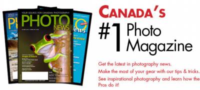 Free Photo News Subscription