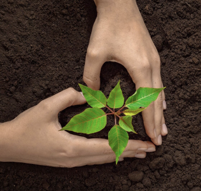 Free Plantable Seed Paper Heart