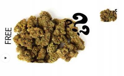 Free Sample of Dried Cannabis (Coupon Code: Leafree)