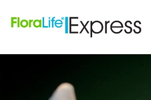 Free Sample of FloraLife Flower Care