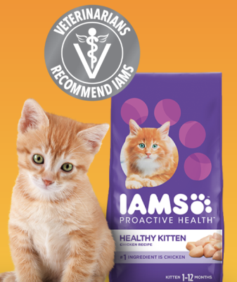 FREE sample of IAMS™ Kitten Dry Food