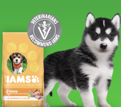 FREE sample of IAMS™ Puppy Dry Food
