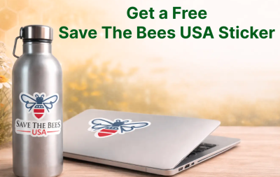 Free Save The Bees USA Sticker
