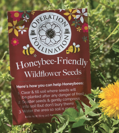 Free Seed Packet from Operation Pollination