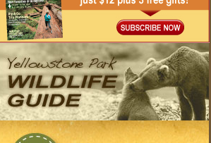 Free Trip Planner Kit & E-Newsletter