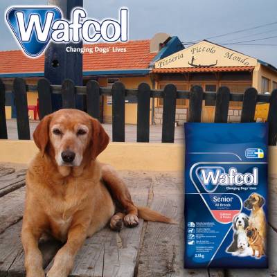 Free Wafcol Dog Food Sample