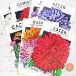 Free Wildflower Seeds