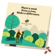 Free Winter Tree Seed Pack