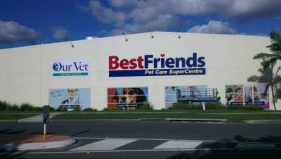 Pet Dental Check From Our Vet 