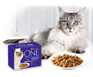  Purina ONE Dry or Mini Fillets for Adult Cats