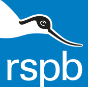 RSPB Explorer Fun Pack