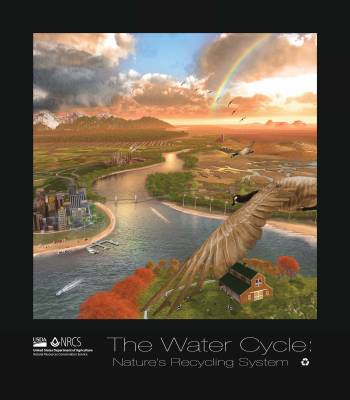 Water Cycle Poster- Educators