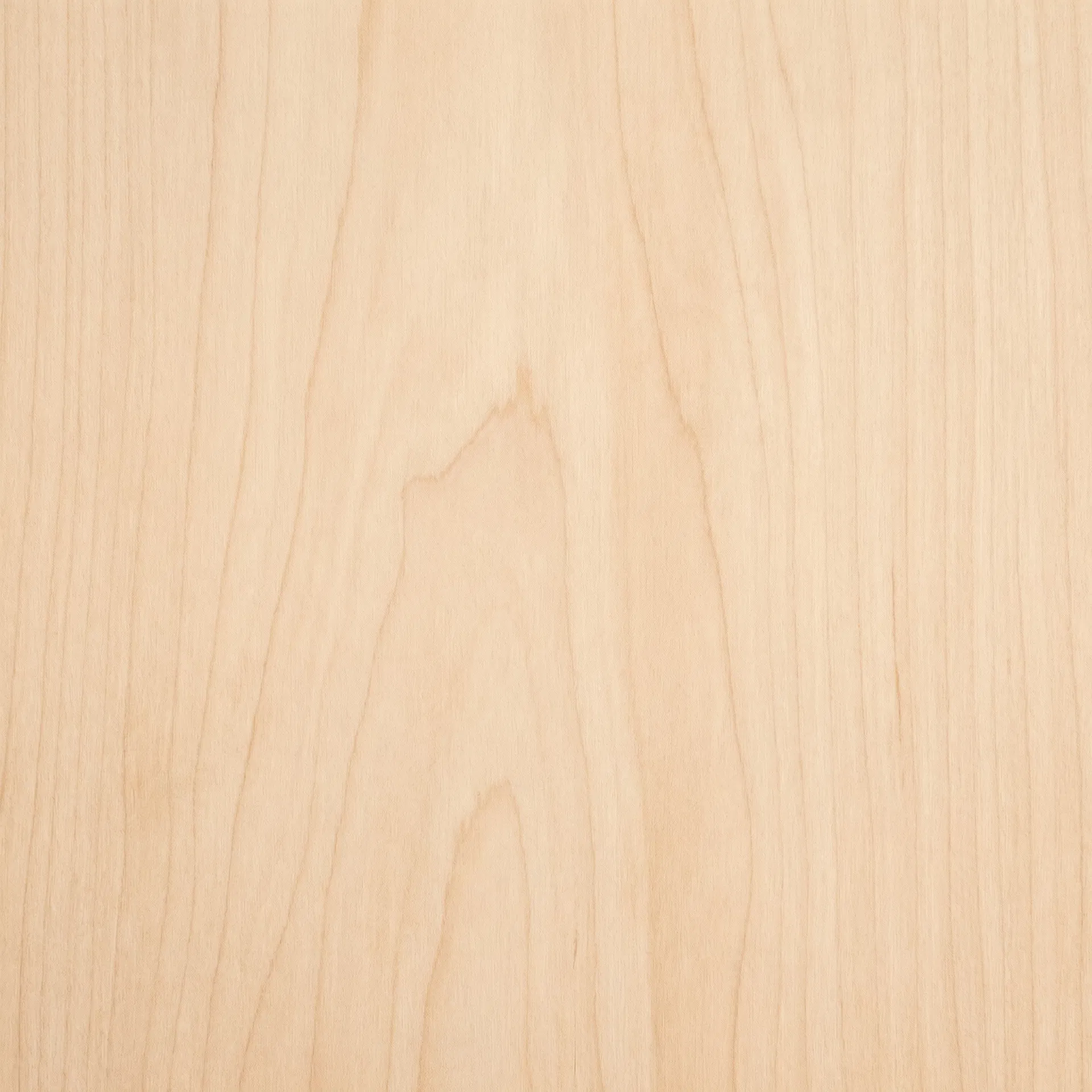 Textura madera
