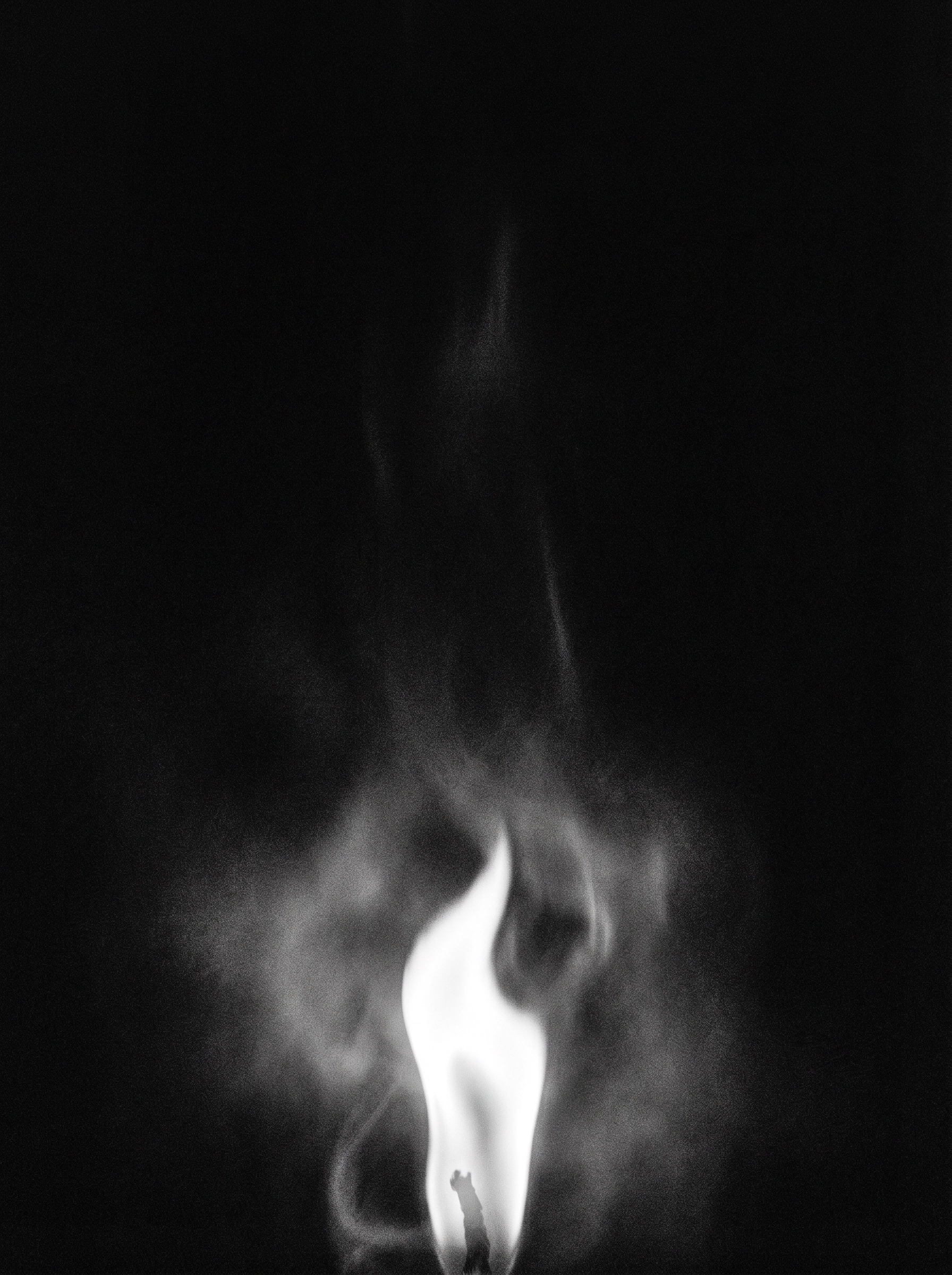 THE BREATH OF LIGHT
