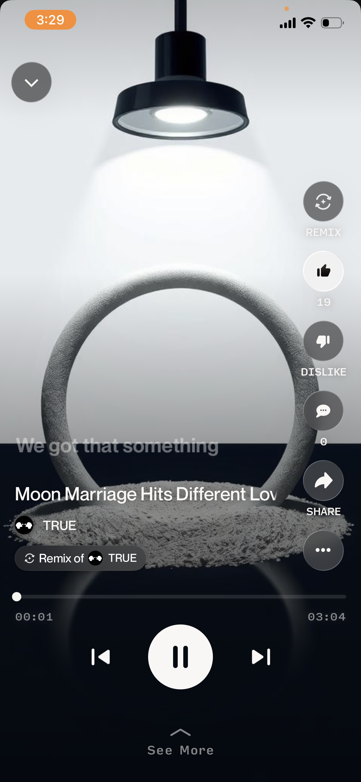 Moon Marriage 