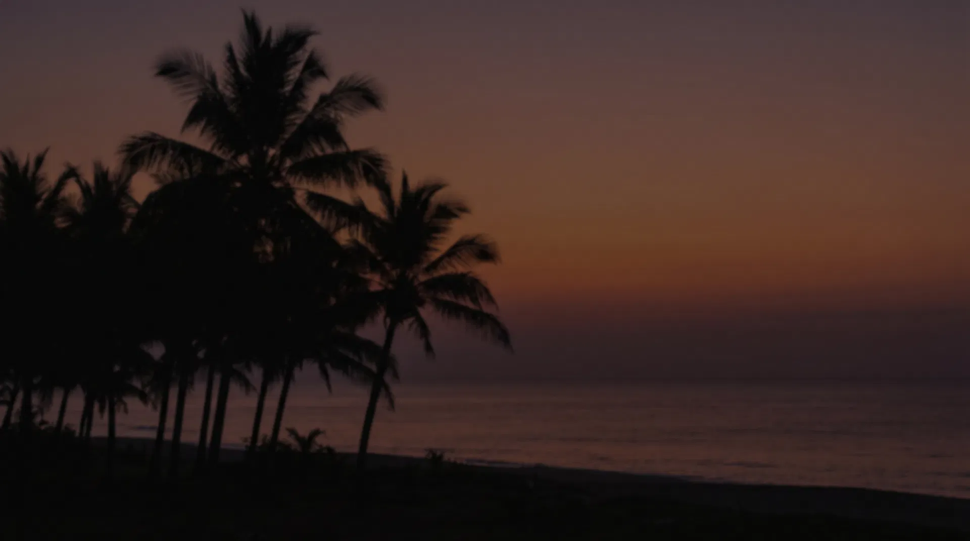 Subtle tropical horizon background with dark overlay for the final call to action