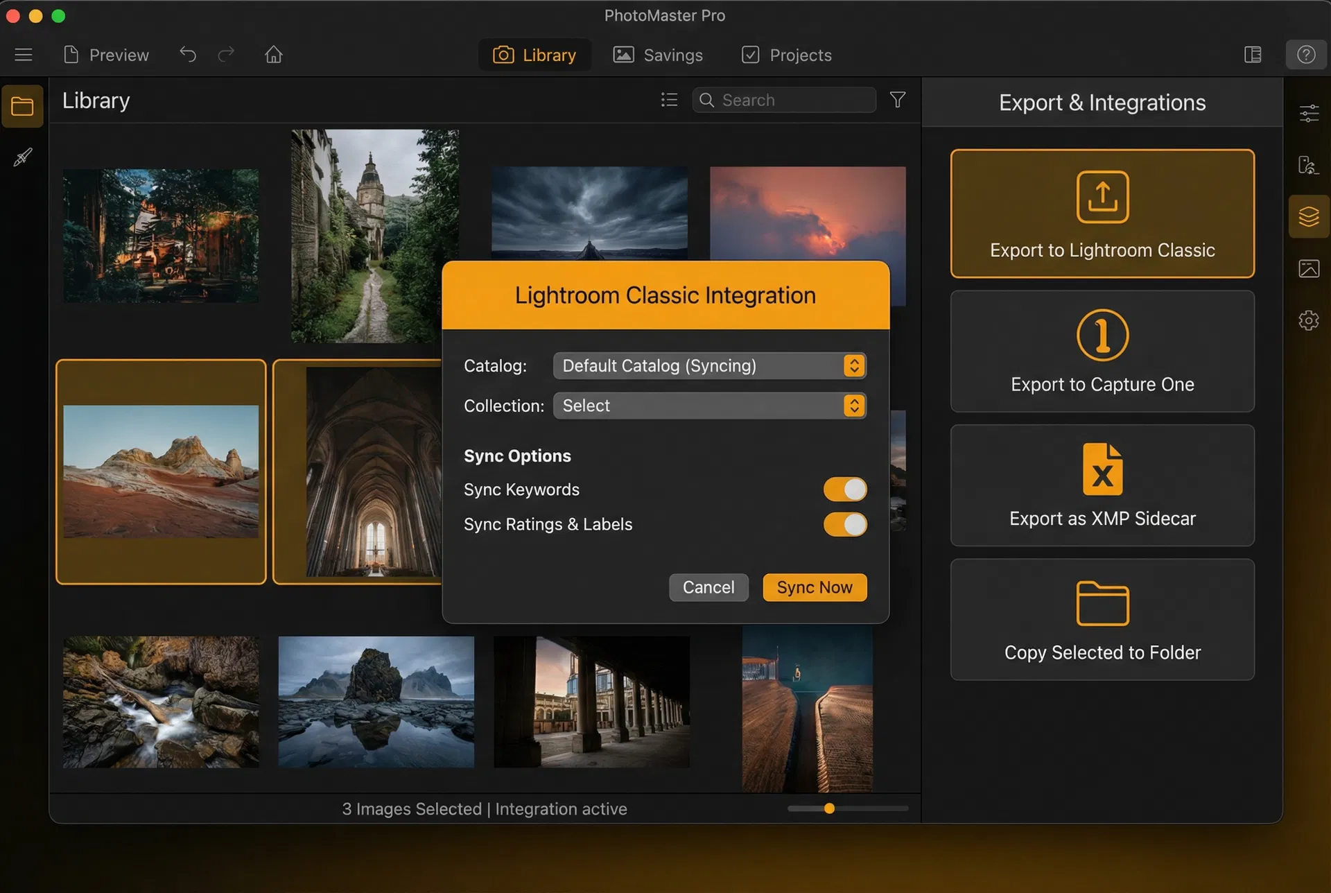Export & Integration