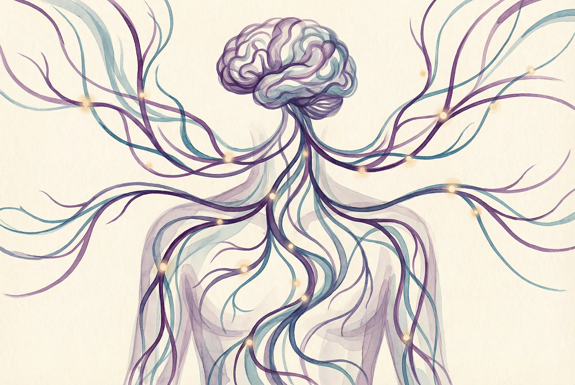 Brain and nervous system illustration showing neural pathways