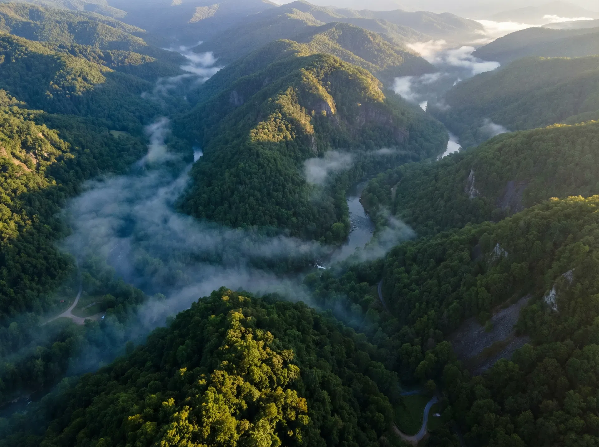 Timber Land in Polk County, Tennessee