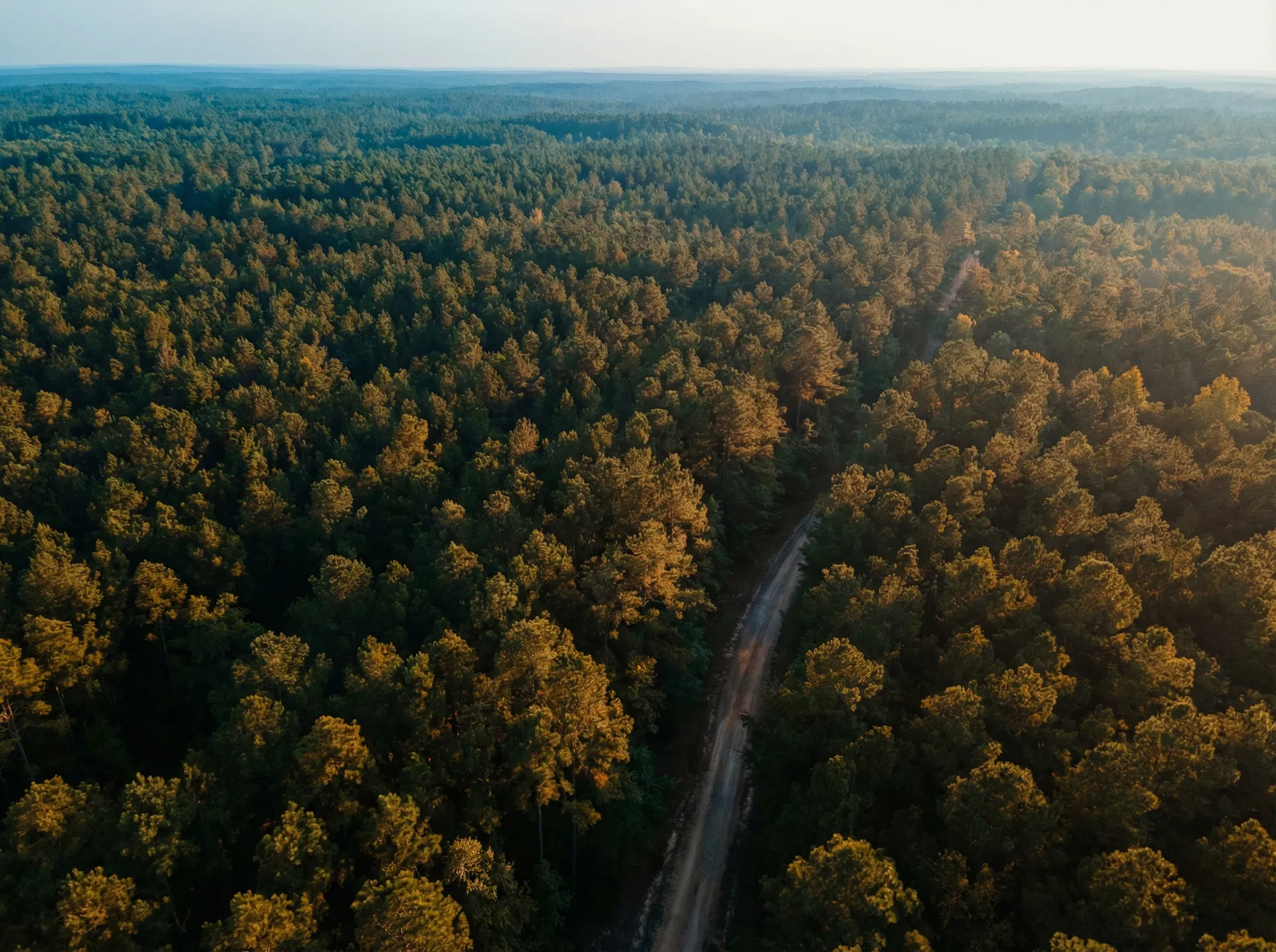 Hunting Land in Nacogdoches County, Texas