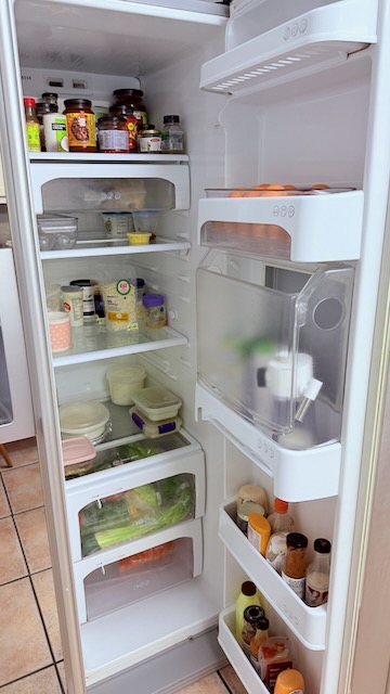 Silver LG Double Door Fridge 3