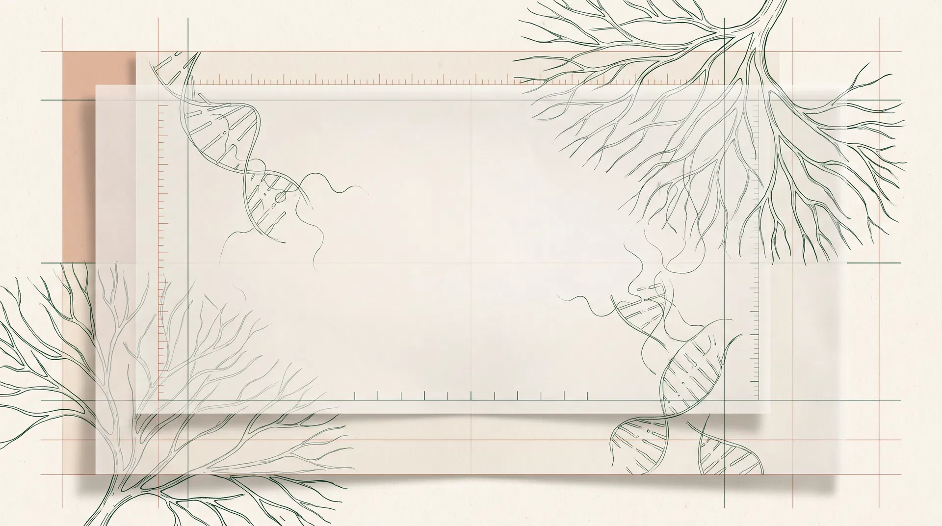 Painel visual com ingredientes naturais e diferencial Vellum
