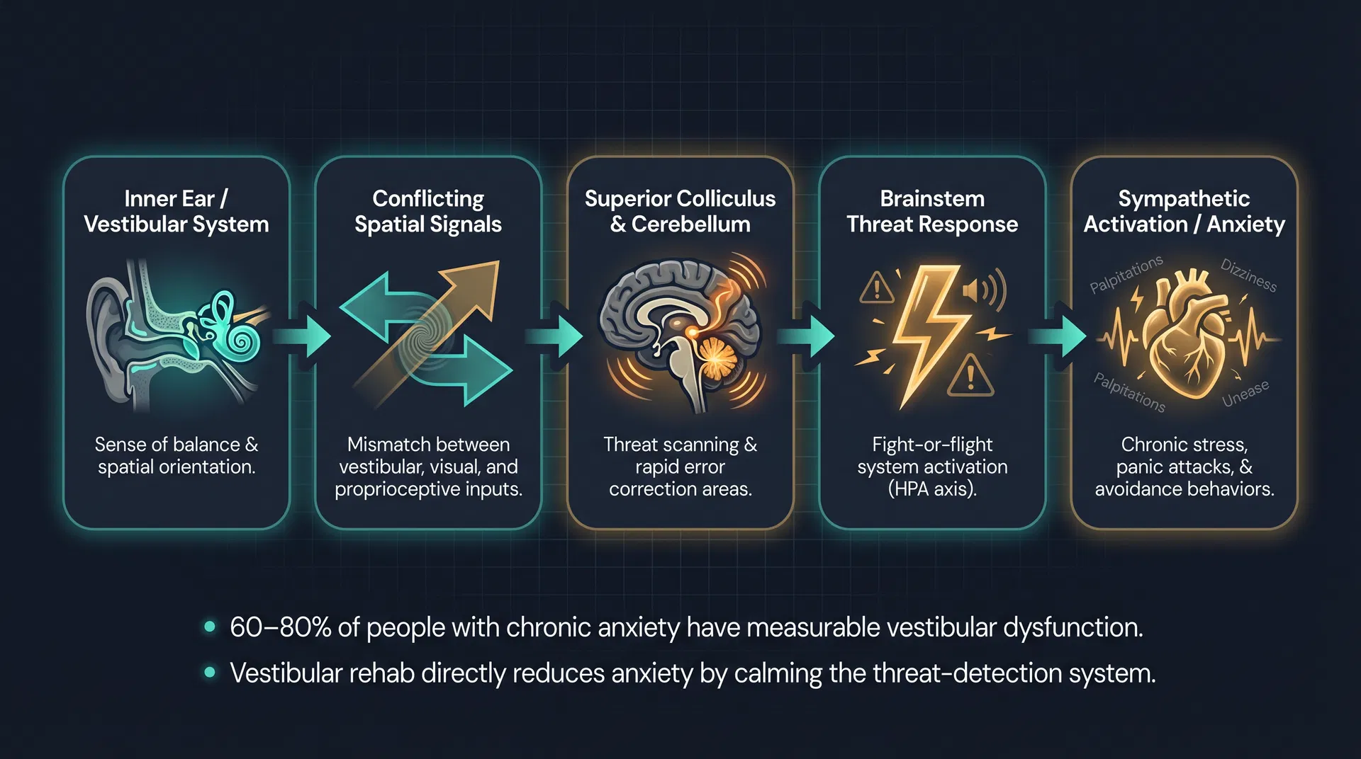 Flow diagram showing the vestibular dysfunction pathway: inner ear conflicting signals → superior colliculus and cerebellum → brainstem threat response → sympathetic activation and anxiety
