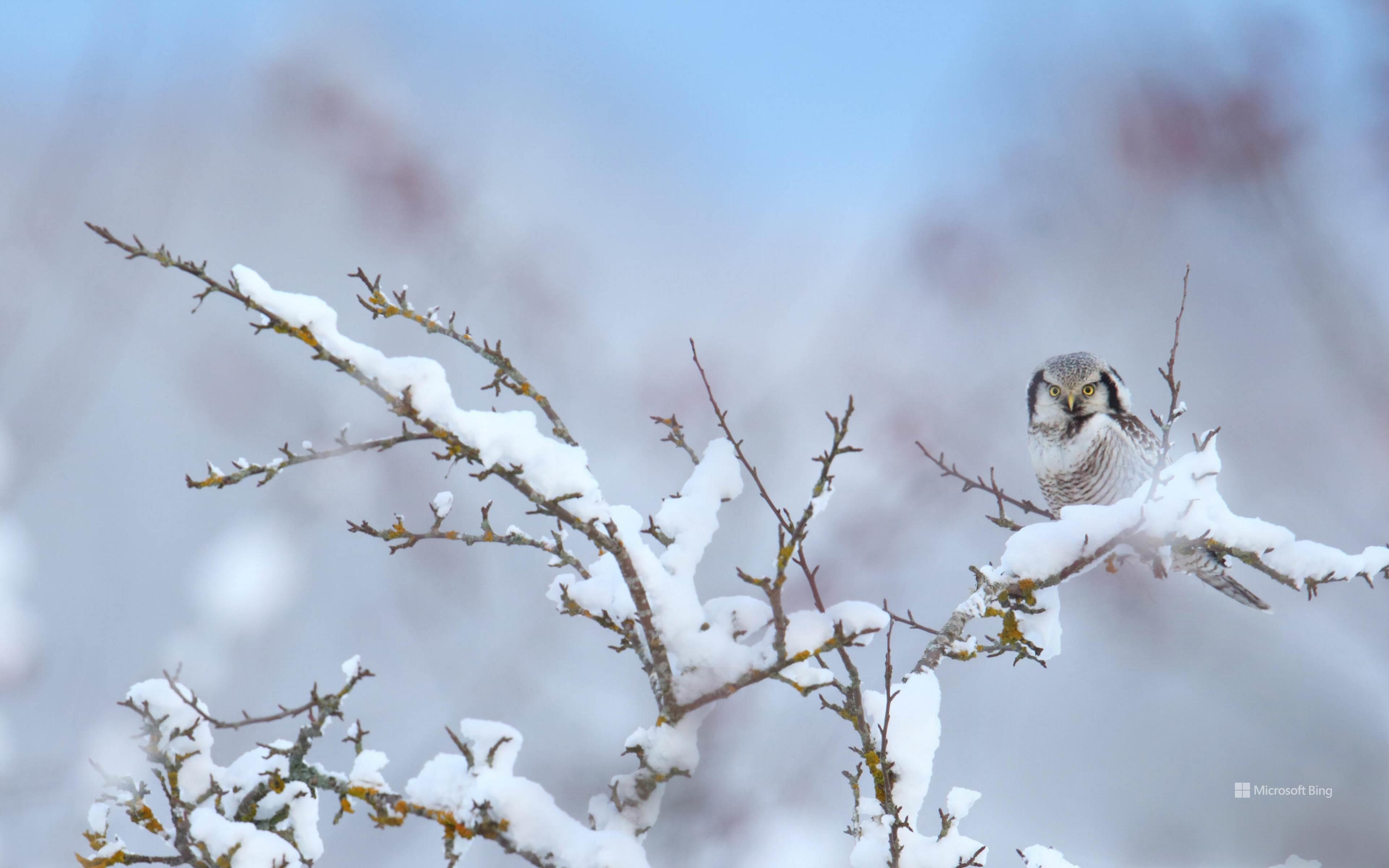 What Is a Digital Concierge? The STR Host’s Guide to 24/7 Guest Support