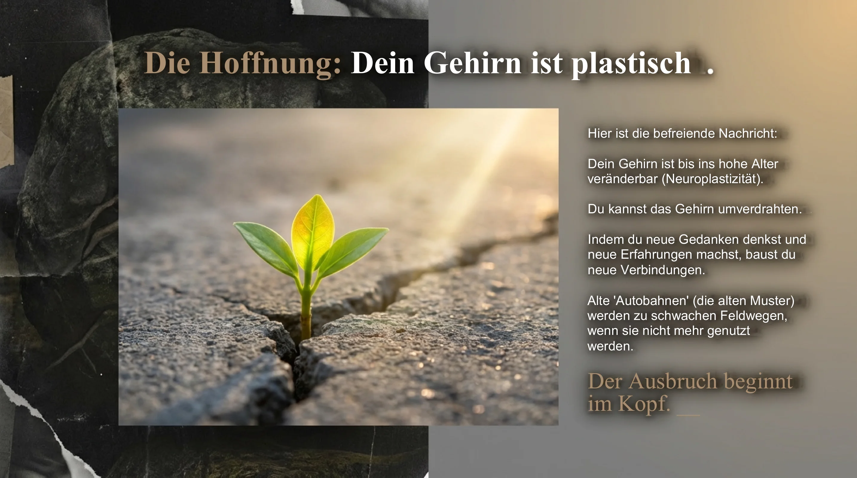 Dein Gefängnis - Dein Schlüssel - Seite 9