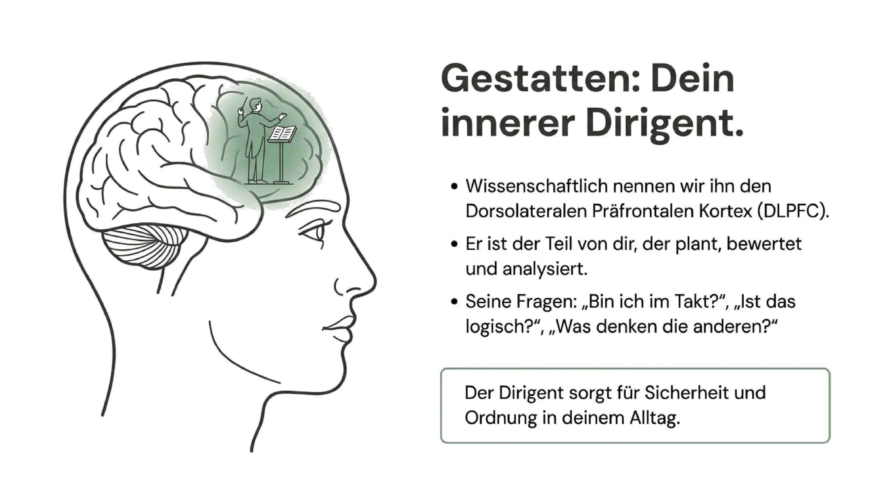 Dein inneres Orchester - Seite 2