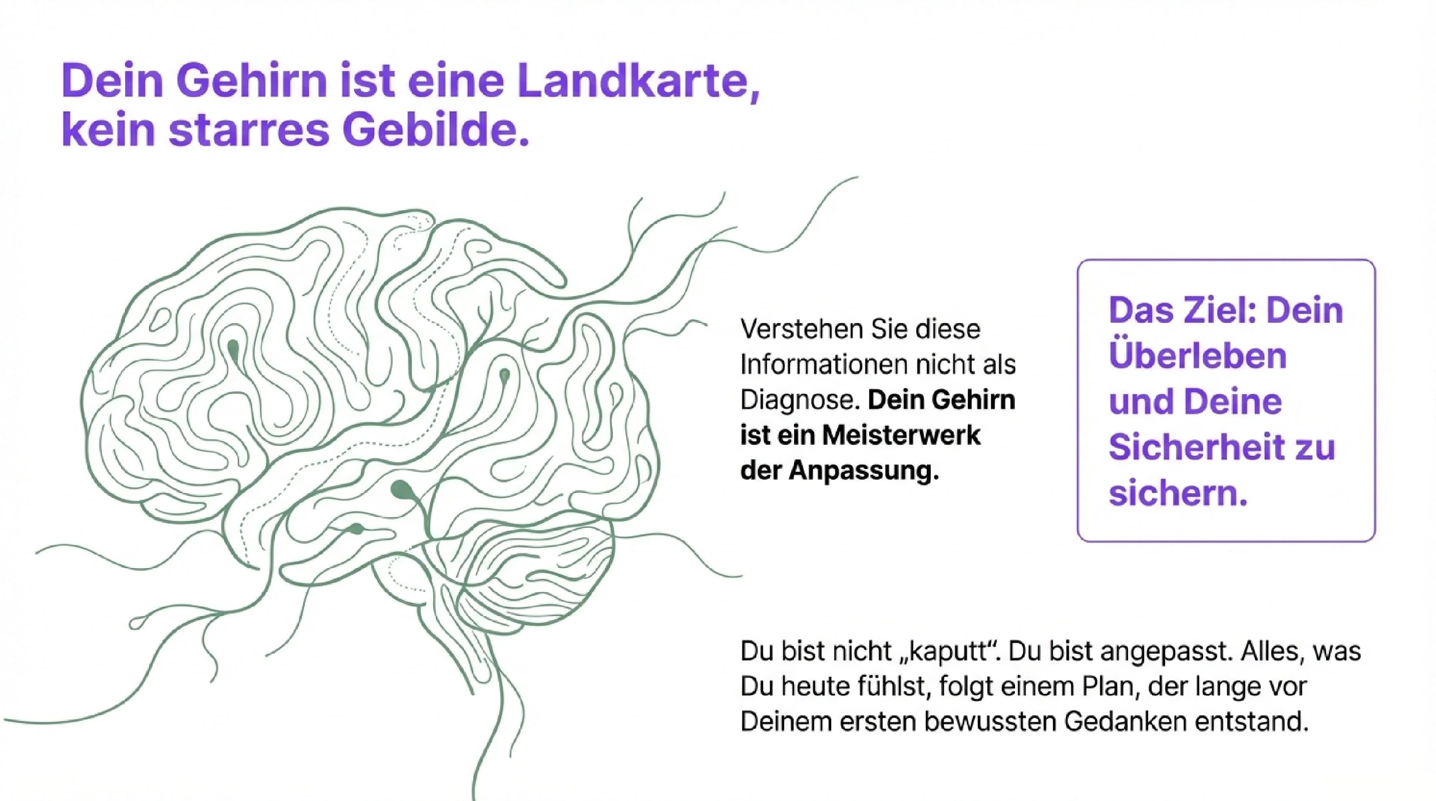 Der Bauplan deiner Gefühle - Seite 2